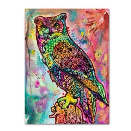 TRADEMARK FINE ART Dean Russo 'Wise Owl' Canvas Art, 35x47 ALI18432-C3547GG